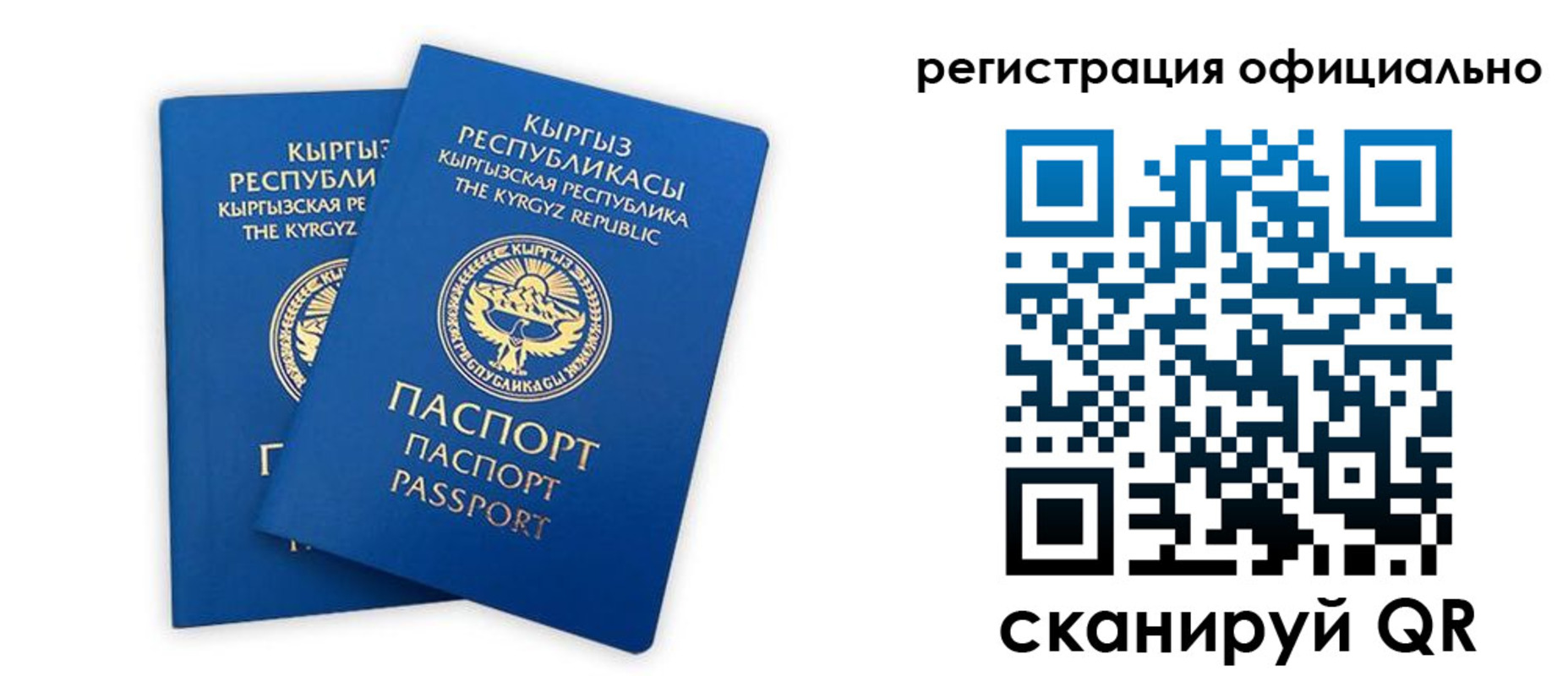 прописка поиск в Иланском